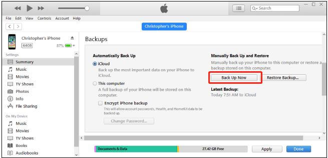 back up with itunes