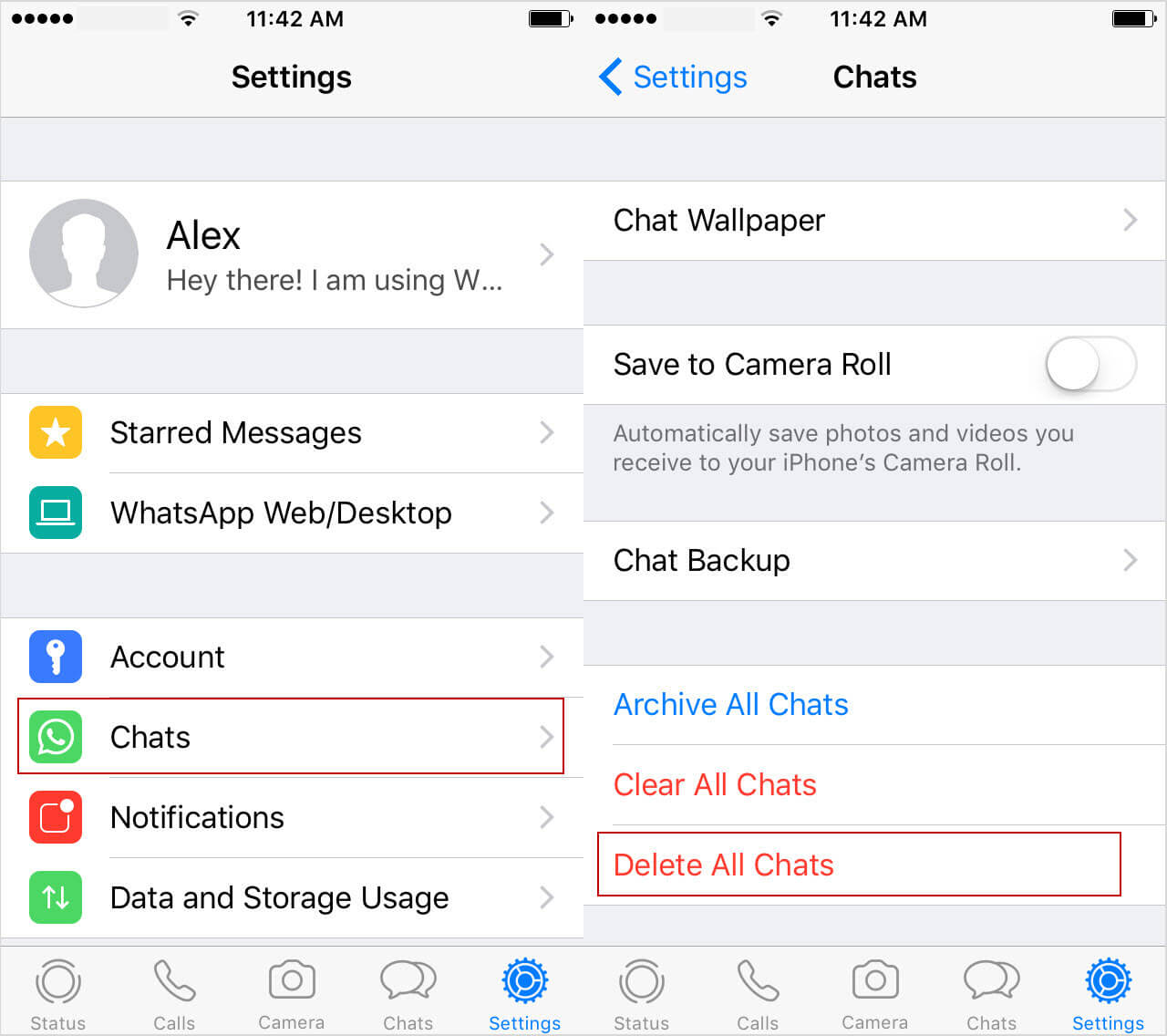 delete WhatsApp chat history