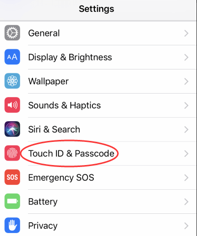 touch-id-and-passcode